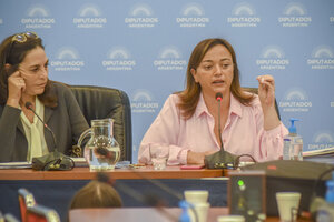 Cecilia Moreau fue propuesta en reemplazo de Massa como presidenta de Diputados
