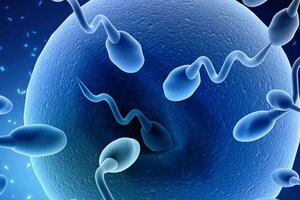 Fertilización asistida: una investigación afirma que nacen más hombres que mujeres