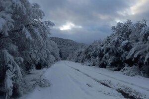 Fuertes nevadas en el Parque Nacional Nahuel Huapi y alerta amarillo en cuatro provincias