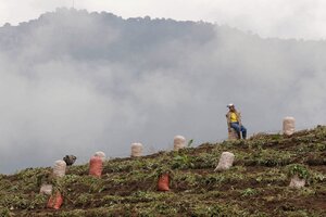 Reforma agraria, una audaz promesa de Petro (Fuente: AFP)