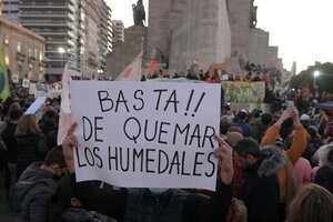 Humo en Rosario: nueva marcha para pedir que la Ley de Humedales 