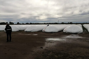 La AFIP incautó casi 7 mil toneladas de granos sin declarar
