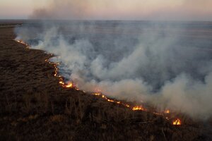 Los incendios en las islas del delta arrasaron casi un millón de hectáreas en los últimos dos años. (Fuente: AFP)