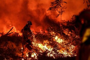 Día Mundial de la Prevención de Incendios Forestales: por qué se celebra el 18 de agosto (Fuente: AFP)