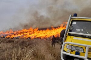 Más de 1200 hectáreas quemadas en Ambato
