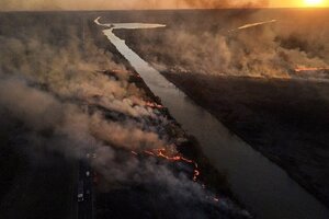 Alberto Fernández, sobre los incendios en el Delta: "No vamos a permanecer pasivos"