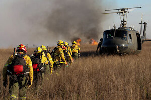 Destacan el "trabajo y resultados” de los brigadistas en la extinción de las quemas en el Delta   (Fuente: NA)