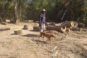 Juan de Dios López, la desolación. 