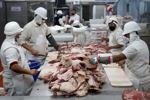 Crecen las exportaciones de carne (Fuente: Enrique García Medina)