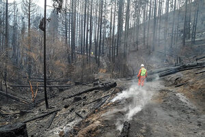 Calentamiento global: la comunidad científica internacional llama a la desobediencia civil (Fuente: EFE)