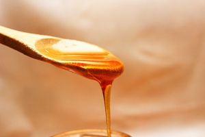 La elaboración, fraccionamiento y comercialización de la Miel "Flores del Neuquén" fue prohibida en todo el país (Foto: Pixabay).