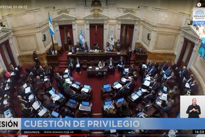 El show de la oposición en el Senado: sin hablar de la represión de Rodríguez Larreta, intentaron criticar a Cristina Kirchner  (Fuente: Captura)