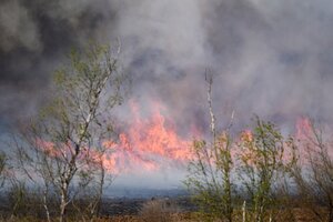 Incendios en el Delta: reclaman que el gobierno de Entre Ríos releve la situación de las tierras públicas (Fuente: NA)