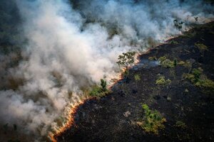 Un Día de la Amazonia con poco para festejar: los incendios siguen con cifras récord  (Fuente: AFP)