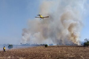 Incendios forestales: focos activos en varias provincias y miles de hectáreas arrasadas