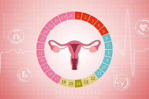 Las menstruapps representan el 50% del mercado de la tecnología femenina