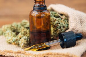 Investigarán el uso del cannabis medicinal en el tratamiento de la migraña