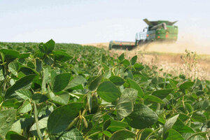 La Federación Agraria destacó la liquidación de 6 mil millones de dólares por las exportaciones de soja