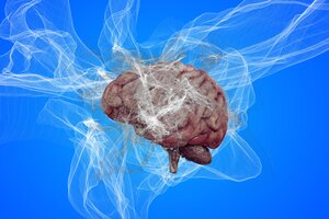 El nuevo tratamiento también retardó la acumulación en el cerebro de la proteína amiloide, que forma placas pegajosas y mata las células cerebrales. 