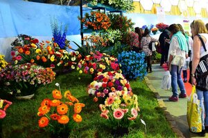 Del 30 de septiembre al 10 de octubre se realiza la Fiesta Nacional de La Flor en Escobar. Prensa: Turismo BA