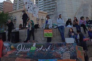 Ley de Humedales: ambientalistas y autoconvocados se manifestaron en Rosario tras la postergación del debate 