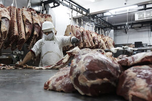 La carne que compra China es de vaca de descarte sin demanda en el mercado argentino (Fuente: Leandro Teysseire)