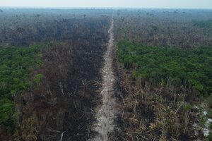Brasil: deforestación en la Amazonia alcanzó un nuevo récord