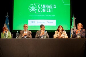 El Gobierno lanzó la empresa Cannabis CONICET