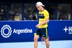 Francisco Cerúndolo y Schwartzman quedaron eliminados en el ATP de Bélgica (Fuente: AFP)