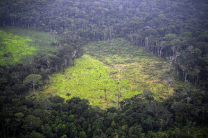 Brasil: la deforestación en la Amazonia alcanzó el peor número de su historia