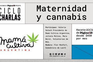 Soci@s presenta: Maternidad y cannabis 