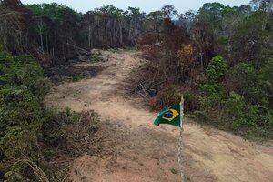 Noruega reactivará la ayuda económica para conservar la Amazonia brasileña (Fuente: AFP)