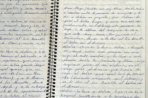 Los cuadernos de Centeno que usaron Bonadio y Stornelli se escribieron de un tirón: para el perito oficial fueron dictados