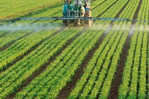 Agroquímicos en Pergamino: solicitaron el juicio oral para tres propietarios de campos por haber contaminado el ambiente 