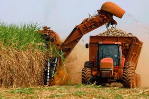 Subas para el bioetanol
