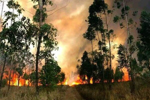 Por seguridad, Salta suspendió el operativo contra el fuego en Valle Morado