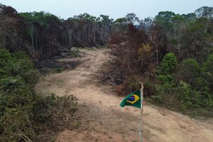 El mundial de la deforestación: cuáles son los países de América Latina que encabezan el ranking (Fuente: AFP)