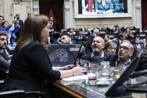 Diputados por Salta repudian el ataque machista a Cecilia Moreau 