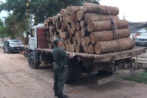 Incautan 56.500 kilos de harina y troncos de madera transportados sin aval legal