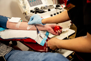 Nueva Zelanda: una familia se opone a que su bebé reciba sangre de un donante vacunado contra la covid-19