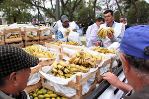 Productores formoseños de banana durante una protesta en junio de 2017 (Fuente: Télam)