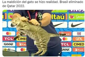 Los mejores memes de los hinchas argentinos por la eliminación de Brasil