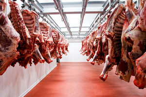 Las exportaciones de carne crecen 9,5% en lo que va del año