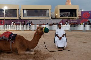 Qué es la "gripe del camello", el virus que joroba a Francia y tiene en alerta a Qatar (Fuente: EFE)