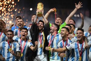 Las mejores fotos de los jugadores de la selección argentina alzando la Copa