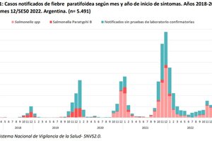 Salmonella: el 94% de las notificaciones del país son de Salta 