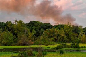 Se detectaron nuevos focos de incendio en la Reserva Ecológica de Costanera Sur (Fuente: Télam)