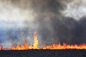 Kicillof: "Llevamos adelante un trabajo permanente, integral y colaborativo para prevenir el fuego" 