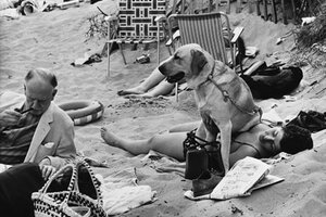  Shirley Baker (1932 – 2014), la fotógrafa que inventó aquello de retratar a sus perros con sus dueños
