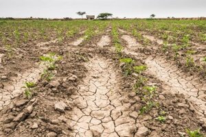 Más de 2.114 millones de pesos para hacer frente a la sequía